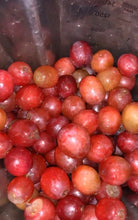 Load image into Gallery viewer, Eminence's Homemade Grape Juice Recipe
