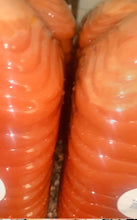 Load image into Gallery viewer, Strawberry Bionic Ginger